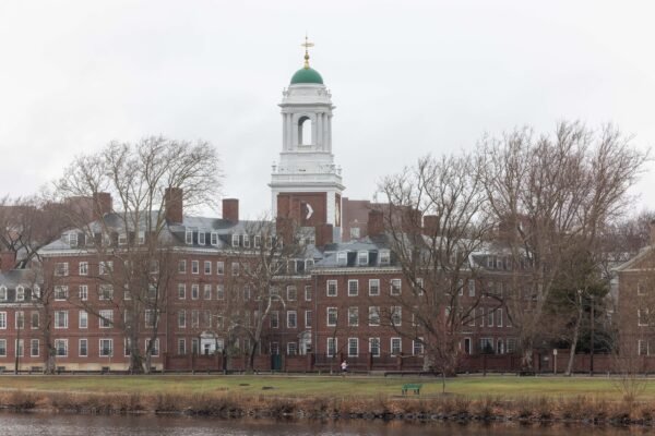 The Trump administration reviewing alleged anti -Semitism at Harvard University The Trump administration reviewing alleged anti -Semitism at Harvard University
